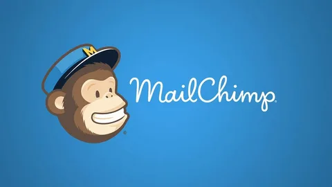 mail chimp mail chimp