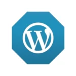 WordPress Ecommerce
