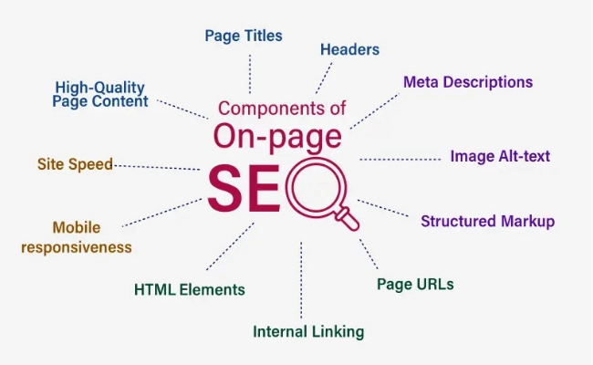 The Impact of On Page SEO