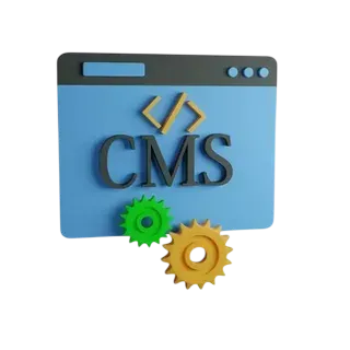 CMS Website Development ​