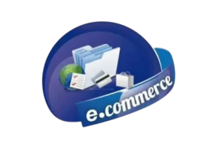 Custom E commerce Development