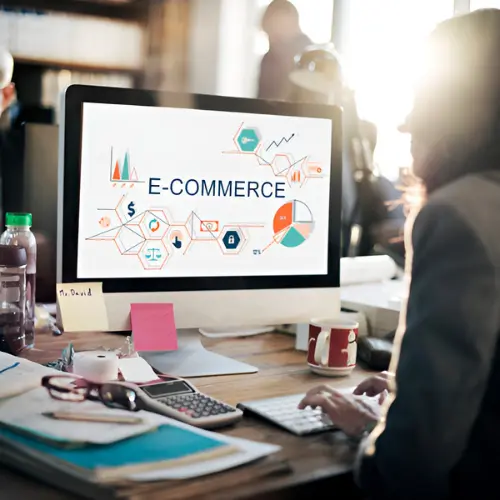 Professional E-commerce Services