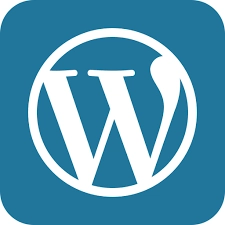 Wordpress Sites Technical Seo Company 1